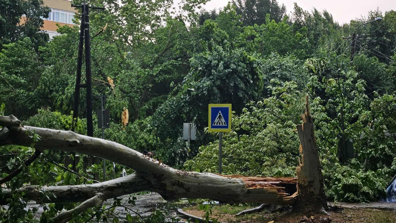 Tombolt a vihar Szegeden, alig két óra alatt 400 segélyhívás érkezett
