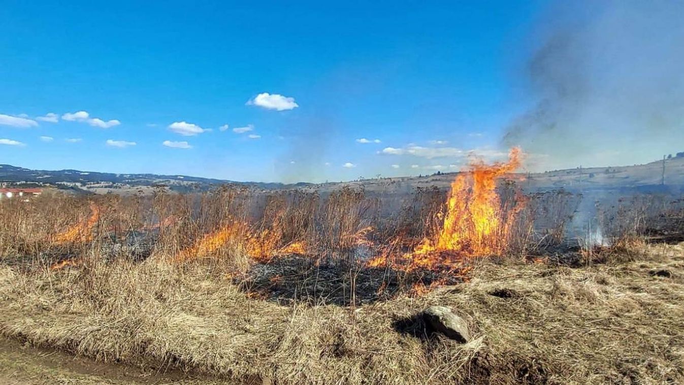 Viharkárok és tűz: forró hétvégét zártak a tűzoltók