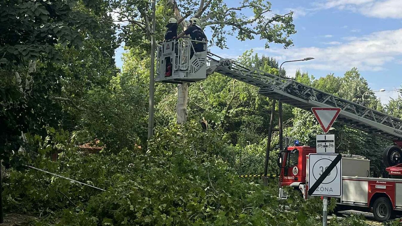Folytatódik a munka, eddig 430 helyen számolták fel a viharkárokat a tűzoltók