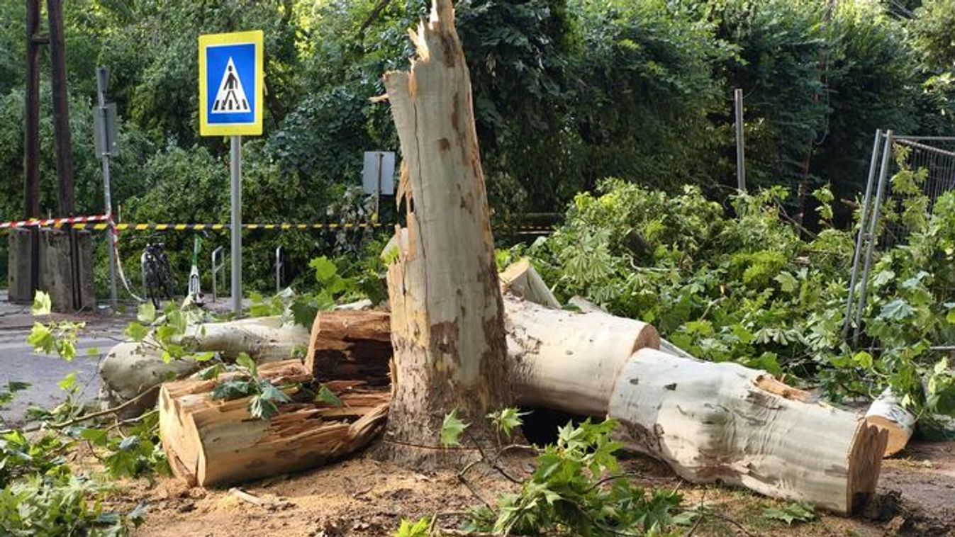 Több mint 2200 tűzoltói beavatkozás országszerte a pusztító hétfő után +videó