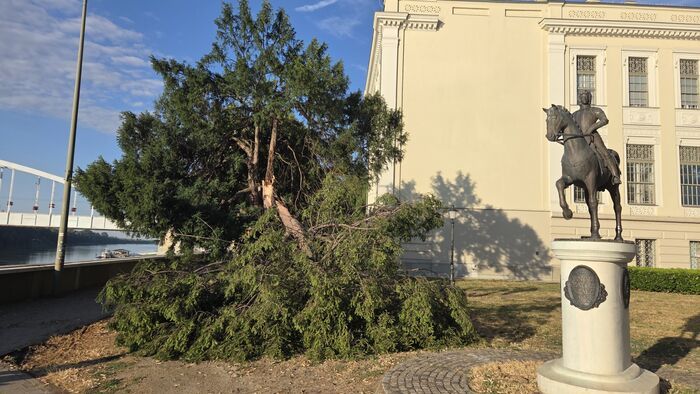 Szeged a vihar után: pusztítás és összefogás +videó +galéria