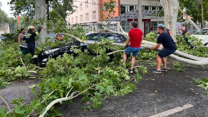 Példás összefogás Szegeden a vihar után +fotók
