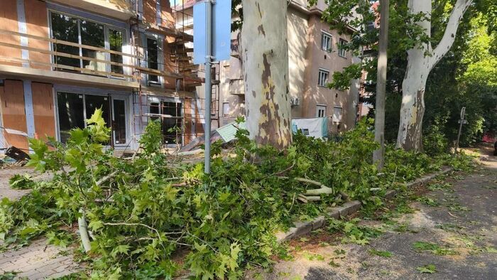 Haváriaközpont segíti a szegedieket is a viharkárok enyhítésében
