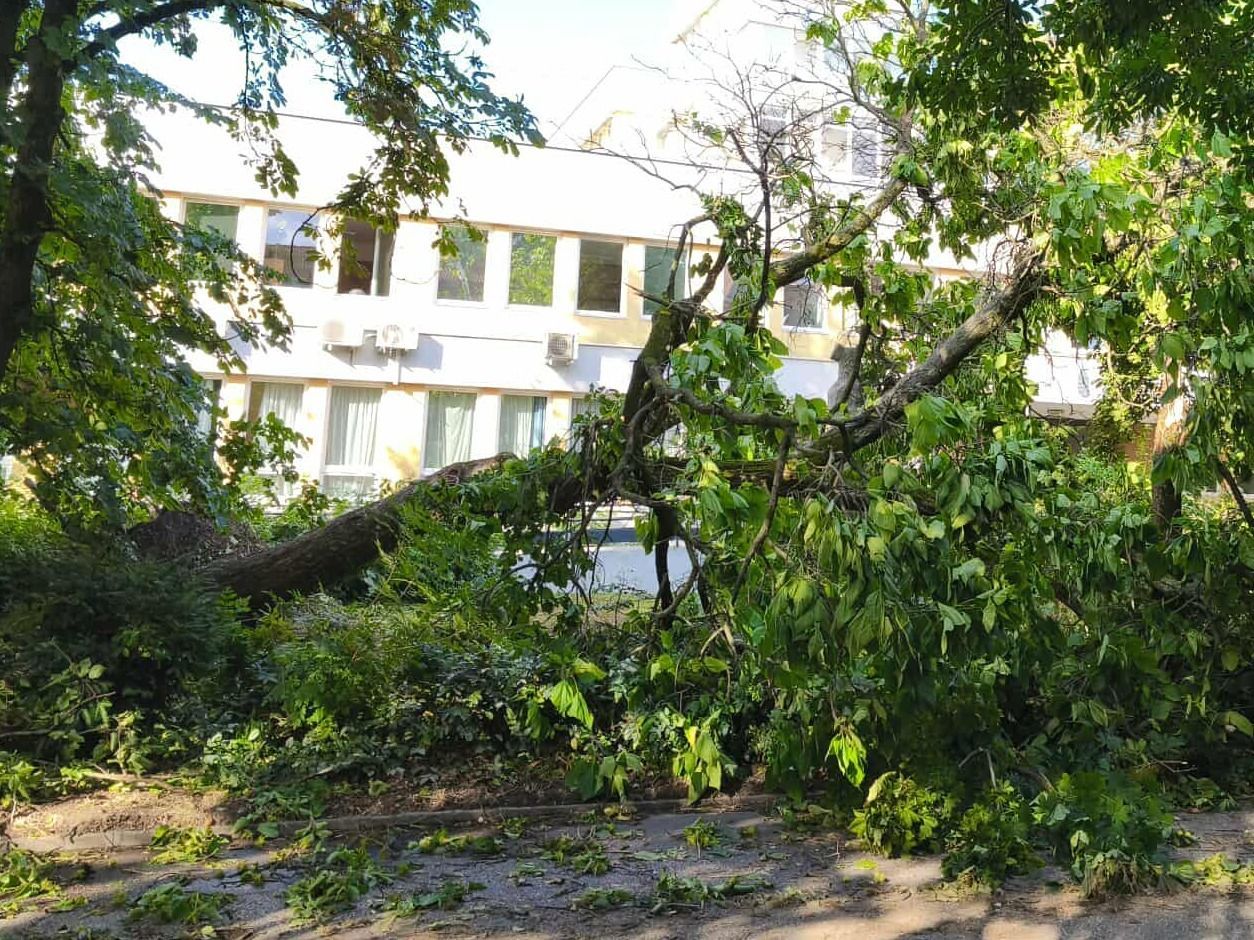 Brutális látvány Szegeden a vihar másnapján - minden egy helyen +fotók +videók