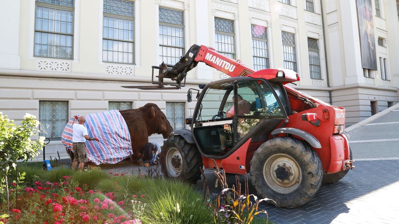 Mamut költözik a Móra Ferenc Múzeum elé +fotók