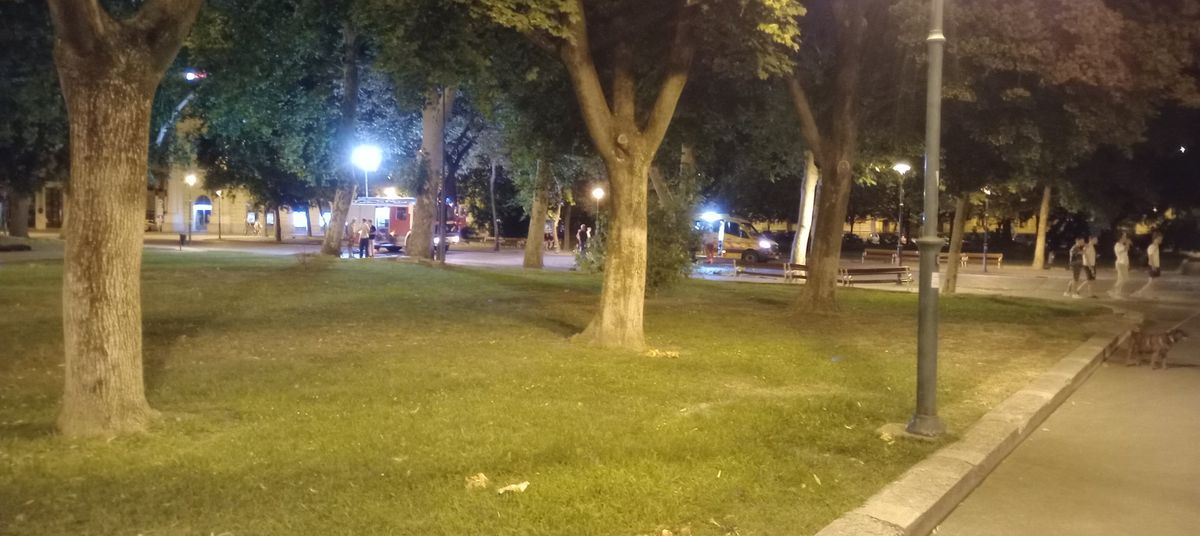 Leszakadt egy újabb faág a Széchenyi téren, ezúttal sérülés is történt.