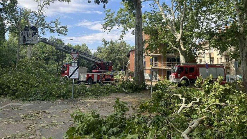 Hősies munka és közösségi összefogás Szegeden a vihar után +videó