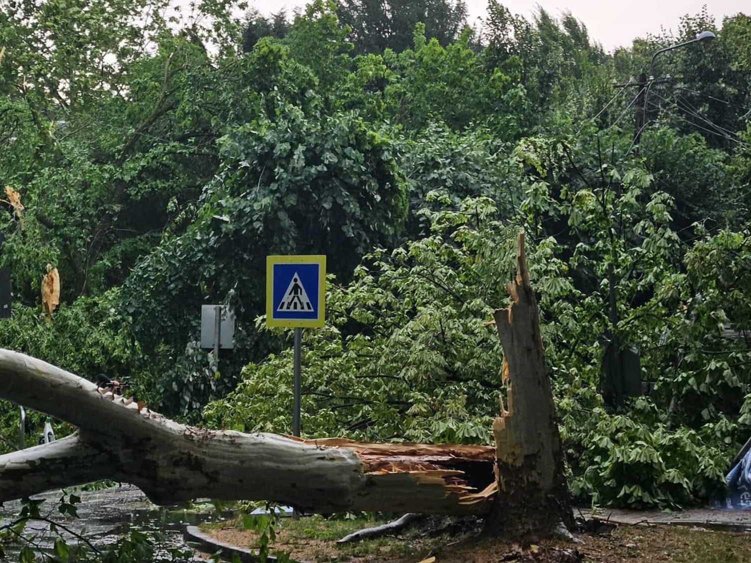 Hatalmas vihar rázta meg Szegedet