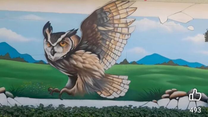 Bölcsesség a falon: új alkotás Szeged belvárosában +videó