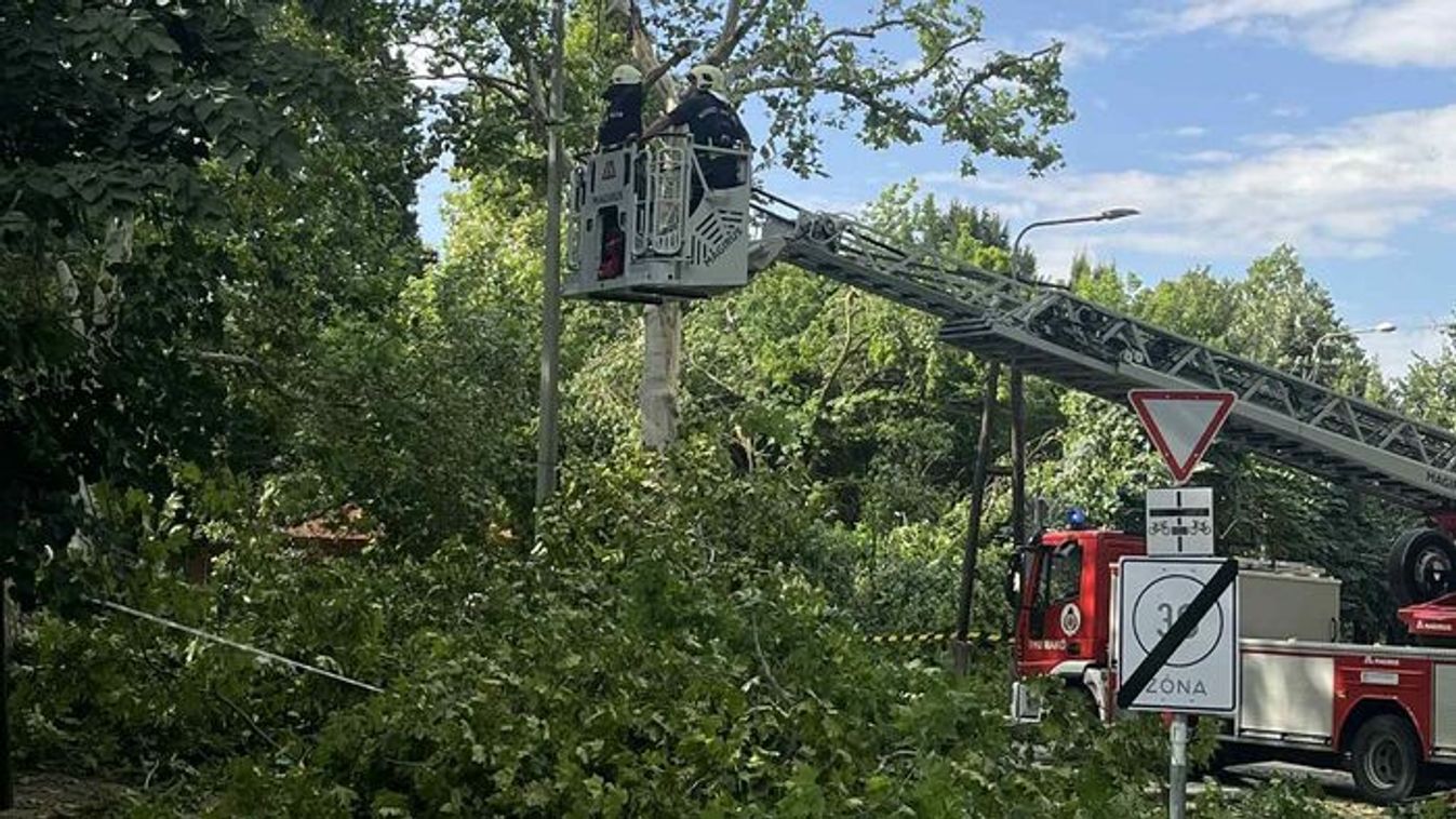 1500 felett a viharkár bejelentések száma Szegeden