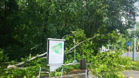 Tombolt a vihar Szegeden: már 700 segélyhívás érkezett