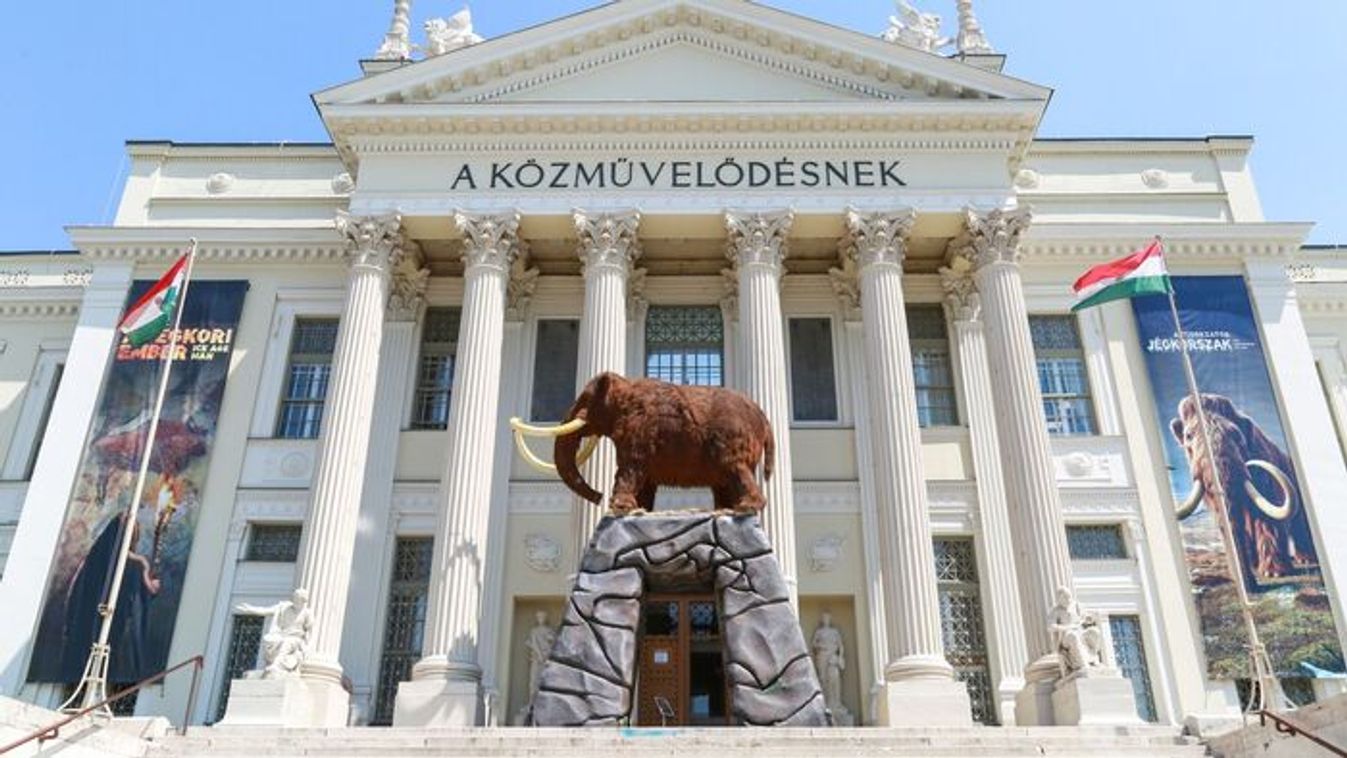 Tarol a jégkorszak Szegeden: már 30 ezer látogatója volt