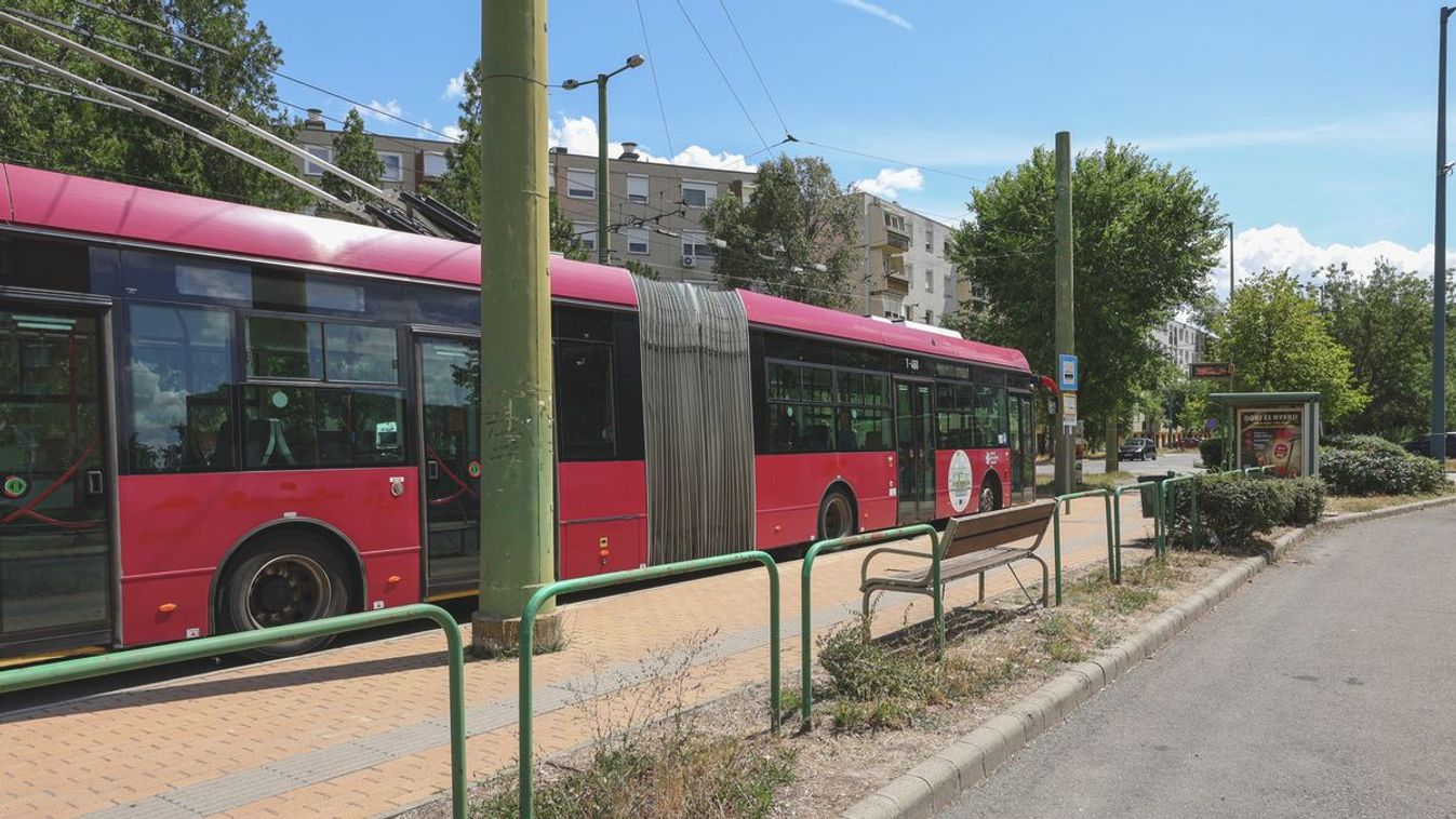 Nemrég felújították, de karbantartás nincs az egyik szegedi végállomáson