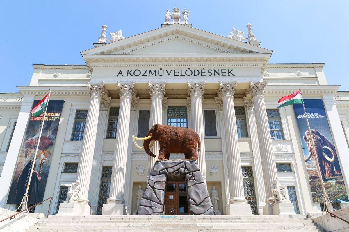 A jégkorszak-kiállítása továbbra is óriási népszerűségnek örvend Fotó: Móra Ferenc Múzeum
