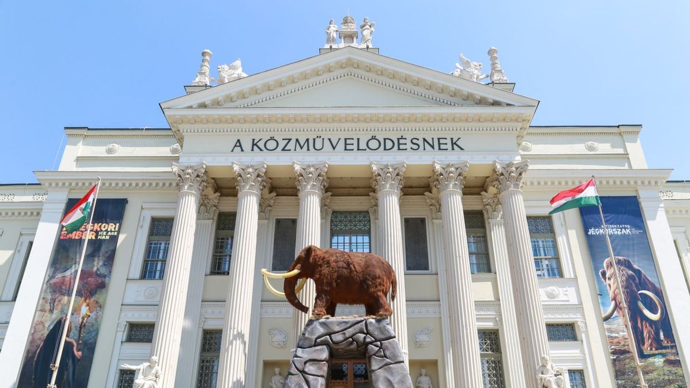 Jégkorszak-láz Szegeden: már a kiállítás 50 ezredik látogatóját köszöntötték