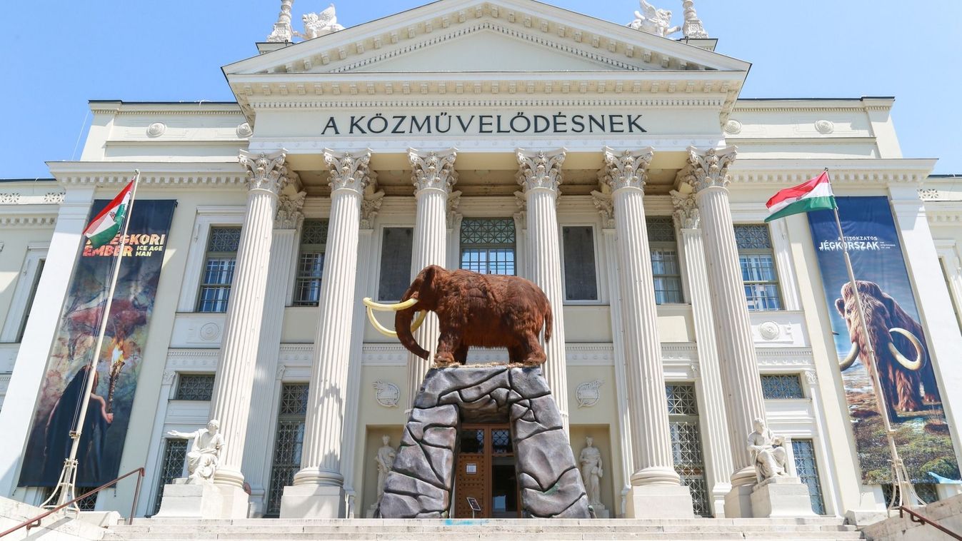 Tarol a jégkorszak Szegeden: már 30 ezer látogatója volt