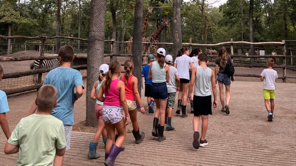 Még nem késő jelentkezni a Szegedi Vadaspark nyári táborába Fotó: zooszeged.hu