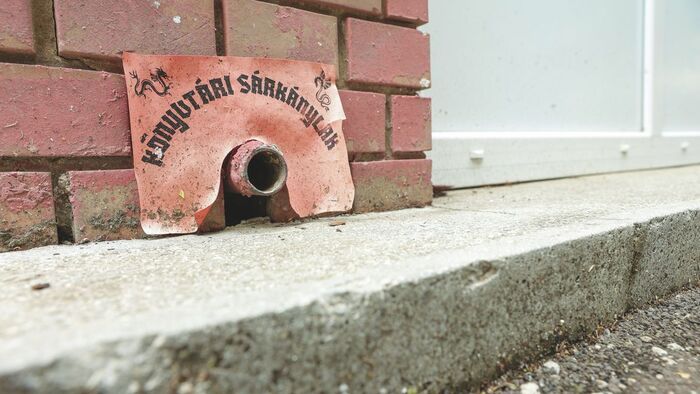 Sárkányok Szegeden: avagy a Somogyi-könyvtár rejtélye