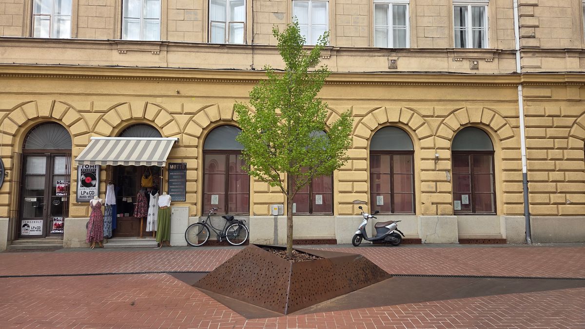 Az Oroszlán utcában megvalósították amiről a Kárász utcán csak álmodni lehet Fotó: Juhász Viktor
