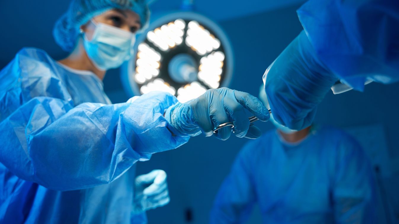 Szegeden kezdődött, mára életmentő rendszer lett belőle