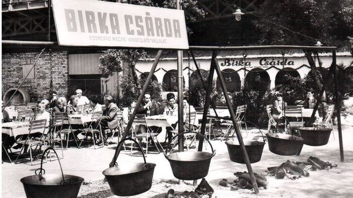 Szeged híd alatti legendái, a Birkacsárdától a Bárkáig
