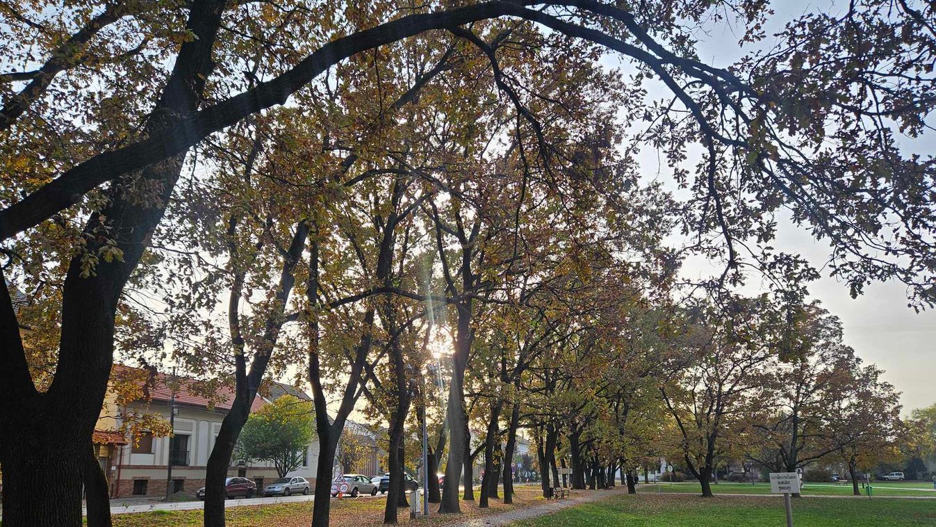 Ősz a Tisza-parton: Szeged költőinek melankóliája