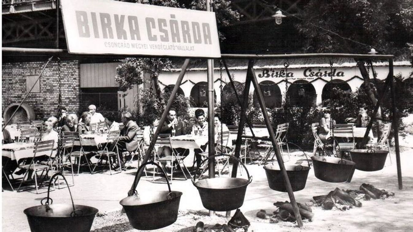 Szeged híd alatti legendái, a Birkacsárdától a Bárkáig