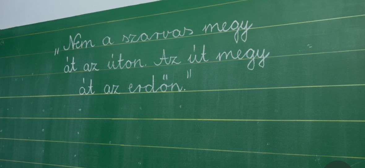 Az állatvédelem volt a fókuszban. (Fotó: Csongrád-Csanád Vármegyei rendőrség)