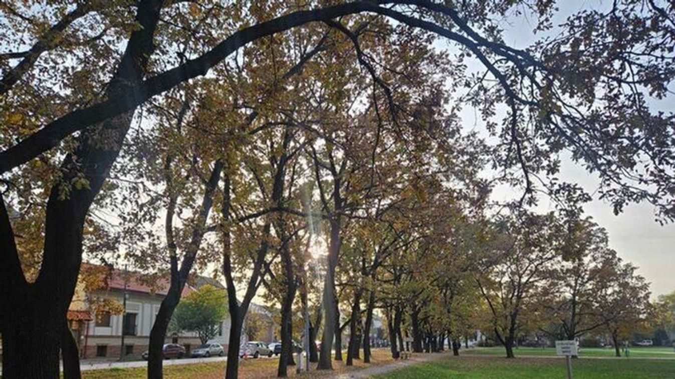 A hét közepén változatos időjárás lesz a meghatározó Szegeden