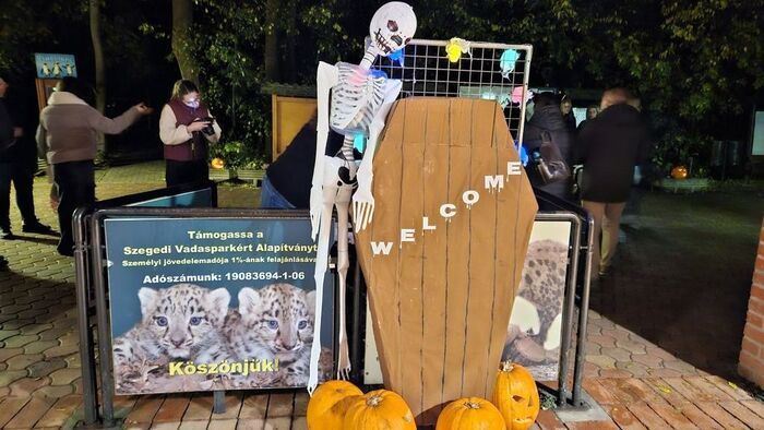 Állatok és rémek együtt rémisztgetnek majd Szegeden