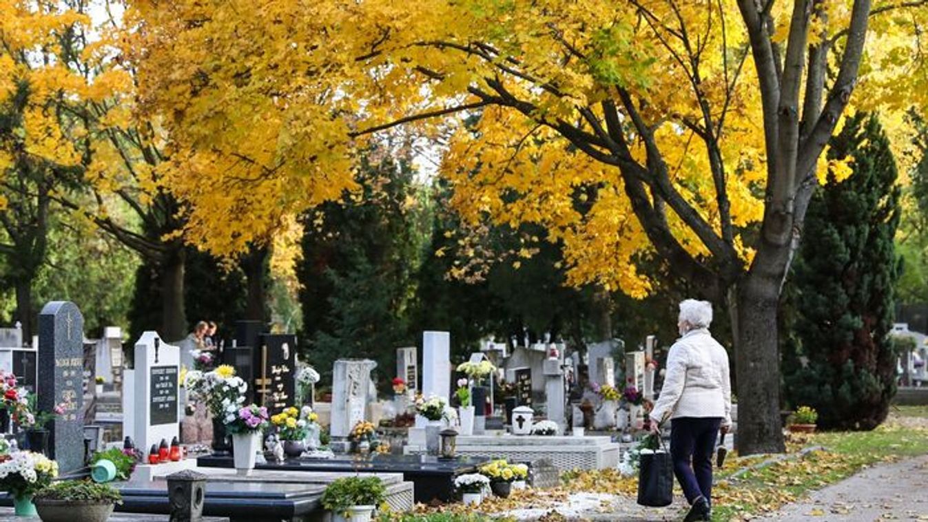 A hét témája: mindenszentek legfontosabb tudnivalói egy helyen