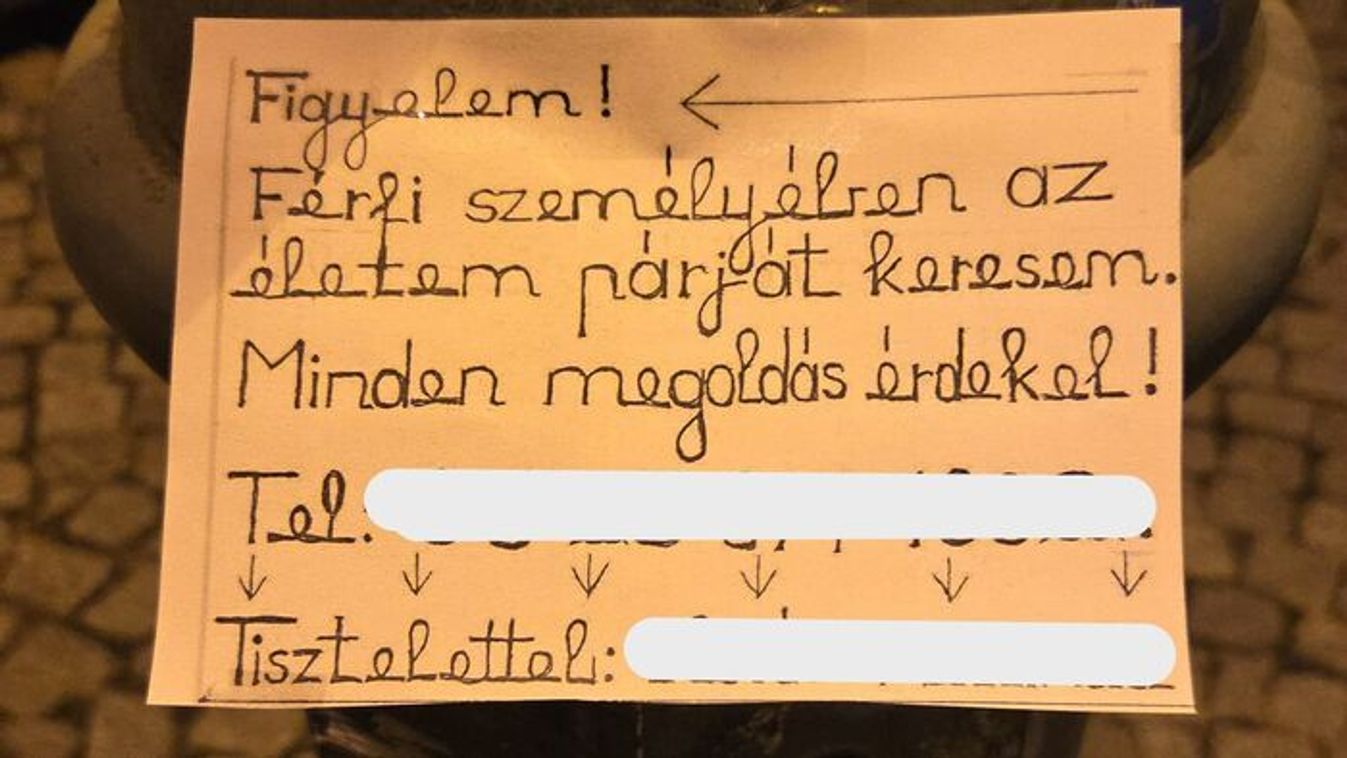 Hahó, Urak! Élete párját keresi egy szegedi hölgy