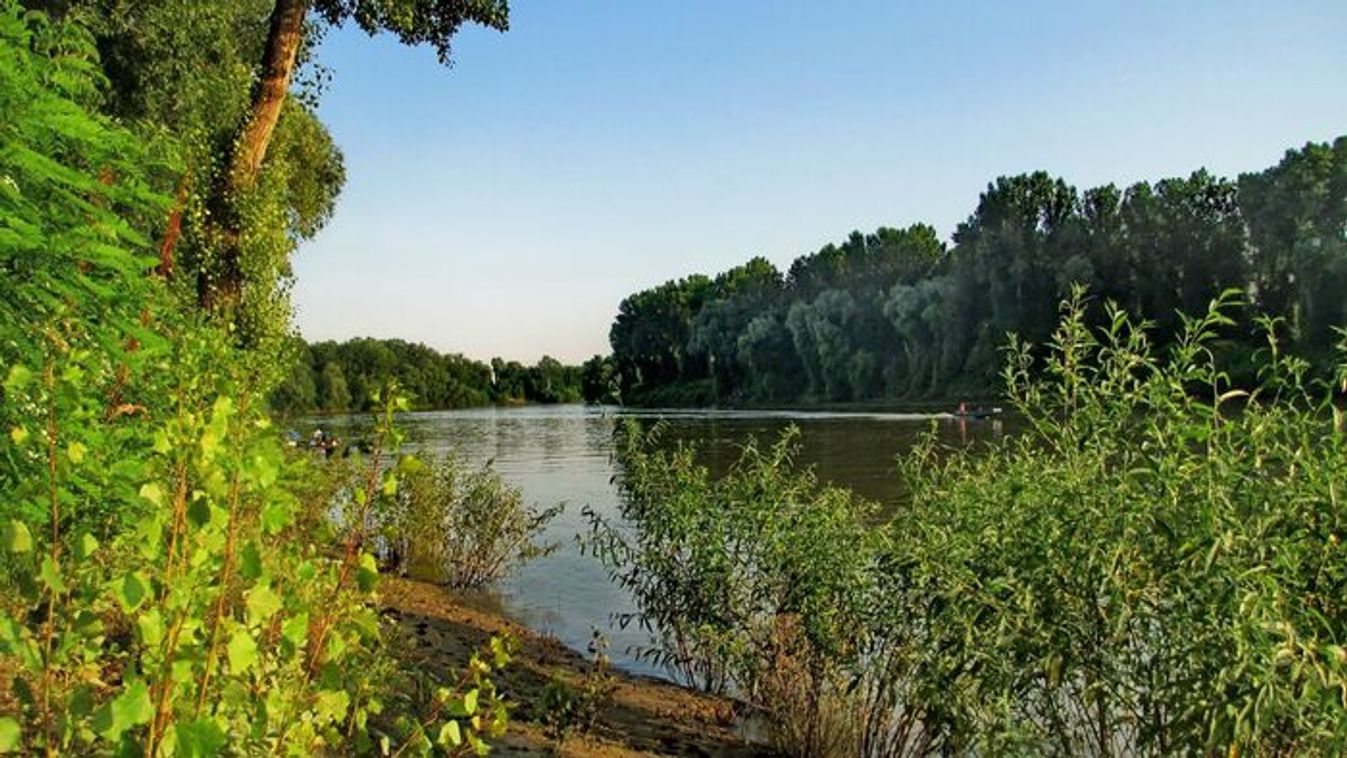 Visszatért a Tisza titkos lakója, rátörhet a nosztalgia a szegedi konyhákra?