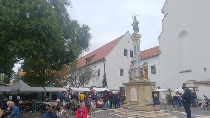 Szent Ferenc nap Szegeden