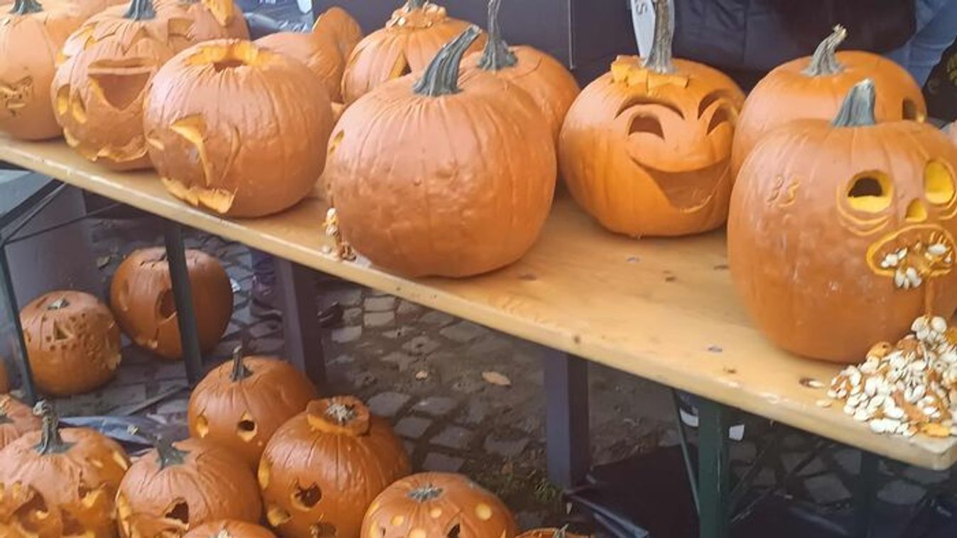 Faragás, móka és őszi varázslat Szegeden +fotók +videó