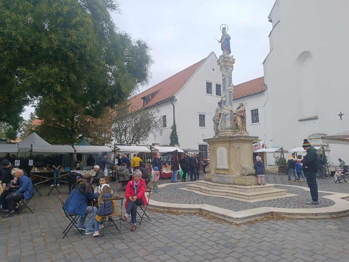 Szegeden ismét a jótékonyságé volt a főszerep Alsóvároson