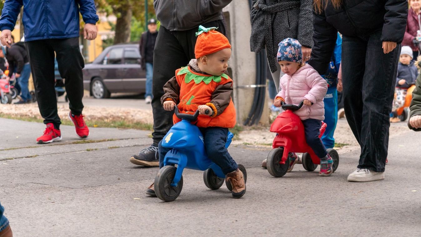 Szinte megállás nélkül érkeztek a látogatók a 15. Kiskundorozsmai Tökfesztiválra
