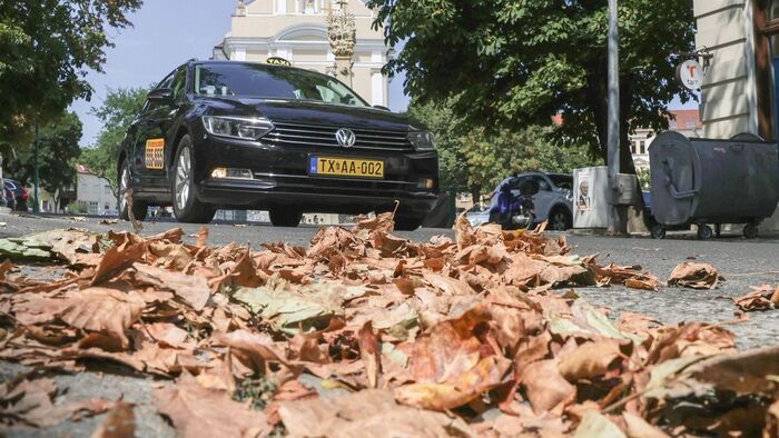 A hét témája: Így előzd meg az őszi baleseteket Szegeden
