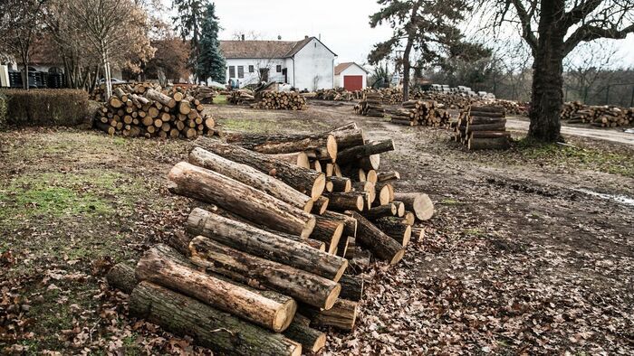Utánajártunk mit kell tudnia egy szegedi háztartásnak a szabályos tűzifa vásárlásról