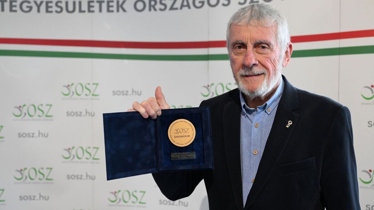 A Sportegyesületek Országos Szövetsége Kővári Árpád kiemelkedő sportvezetői tevékenységét díszoklevéllel ismerte el 2025-ben
