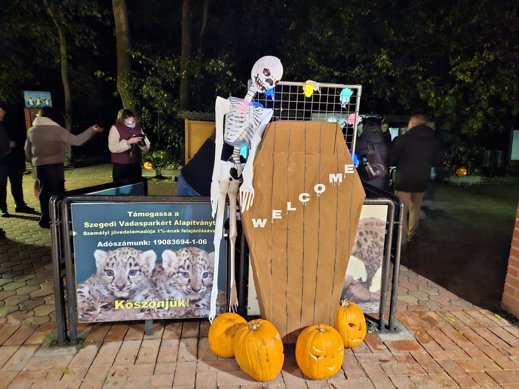 Különleges programokkal készülnek a Szegedi Vadasparkban pénteken