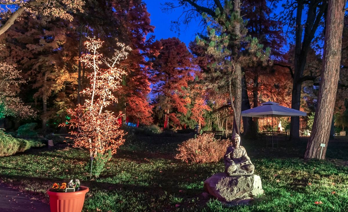 Az őszi japán ünnep varázsát idézik meg a szegedi füvészkertben