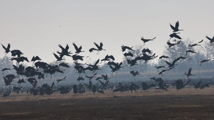 Remek fotókon mutatjuk, hogyan telnek az őszi reggelek a Fehér-tónál