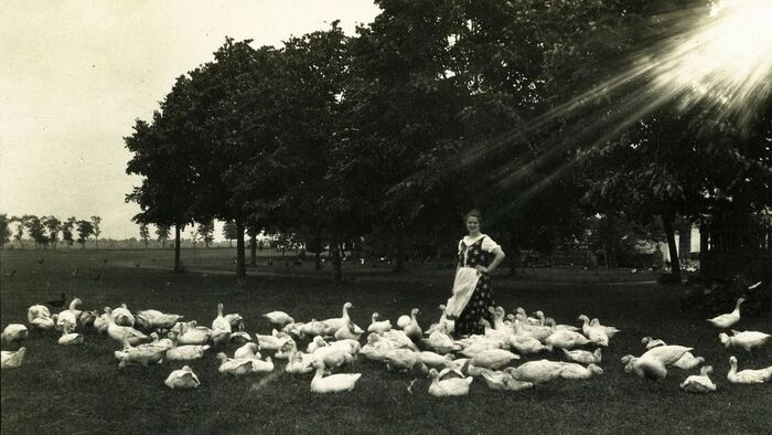 A Márton-nap nem csak a libáról szól: Hallottál már a mártongarasról?