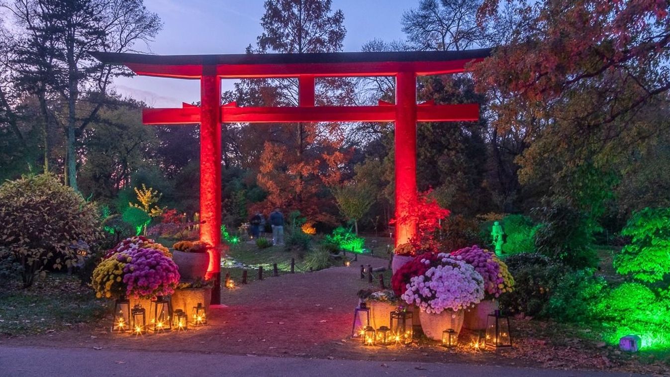 Japán hangulat költözik az őszi Szeged szívébe +fotók