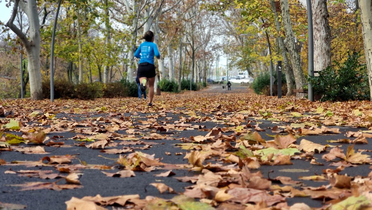 A beérkezett felvételek alapján egyértelmű, hogy az őszi séta élményét keresők számára az Erzsébet-liget a legideálisabb választás. (Fotó: SzegedMA/Olvasói fotó)