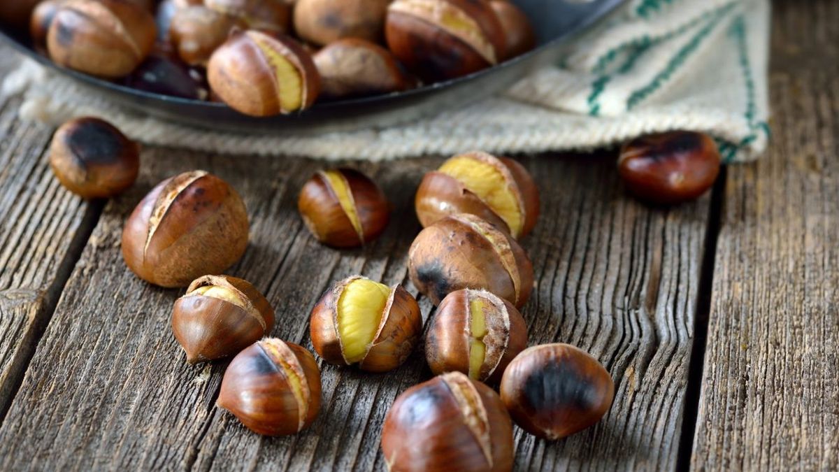 A tökéletes sült gesztenye első titka a minőségi alapanyag. (Fotó: SzegedMA)