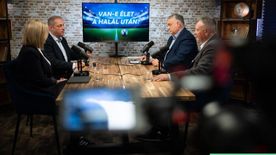 Kibukott minden a válogatott körül – Orbán Viktor, szakértőkkel értékelt