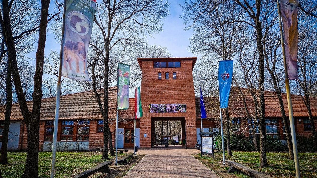 Temesvári hallgatók tanultak a Szegedi Vadasparkban +fotók +videó