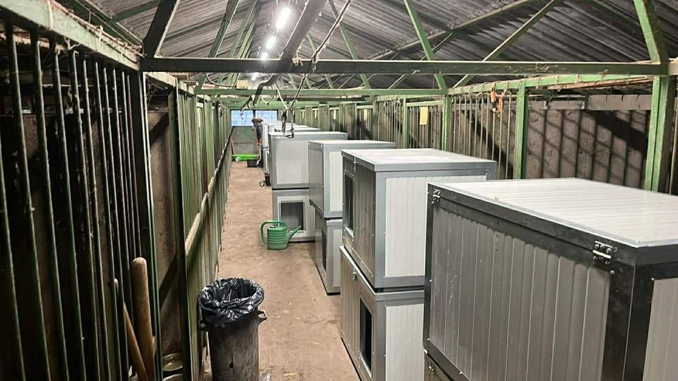 Már a helyükön is vannak az új házak. (Fotó: Tappancs Állatvédő Alapítvány)